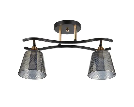 Люстра декоративная Interees V 5005-2 BK+FG