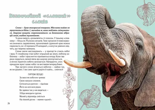 Вусохвості й лапокрилі. Читанка про тварин - фото 2