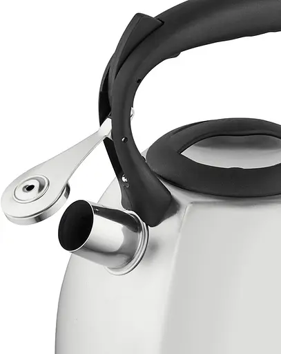 Чайник с свистком Florina 5C0223 Dakota 2.5 л - фото 3