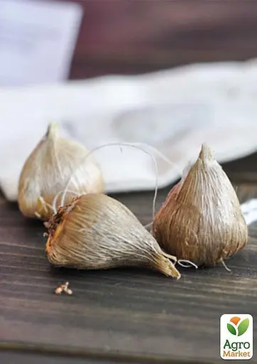 Фрезия махровая "Orange" 5 шт (39528) - фото 2