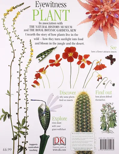 Eyewitness: Plant - фото 2