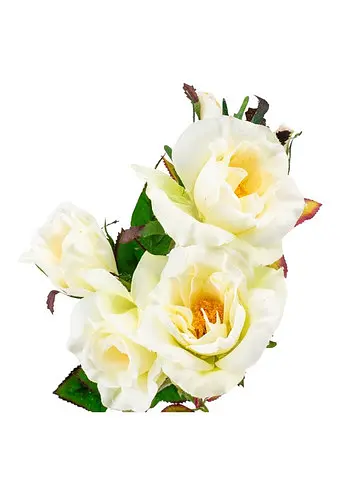 Камелія кремова. 75 см (025F/cream) Elisey - фото 2