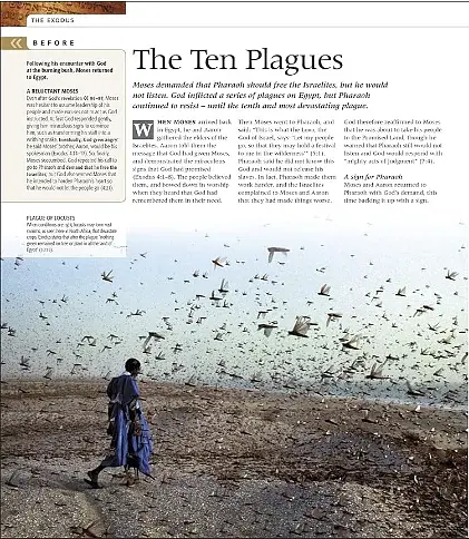 Bible Stories. The Illustrated Guide - фото 3