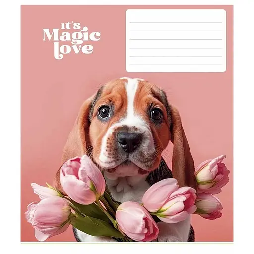 Зошит учнівський "It's a magic love" 012-3300L-5 в лінію, 12 аркушів