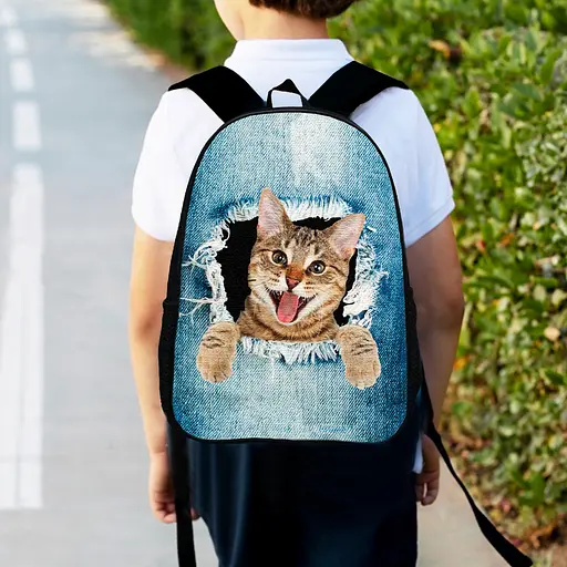 Рюкзак детский с котом 34х27 см, ранец городской с котиком для мальчика, девочки (00480)
