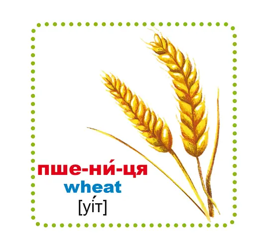 Розумні картки. Із чого це зроблено. 30 карток - фото 2