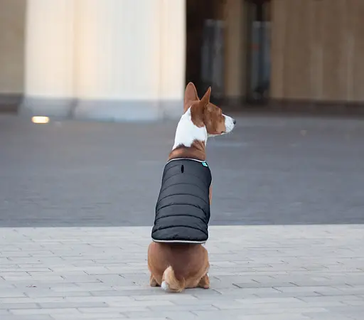 Курточка-накидка для собак AiryVest, S, B 41-51 см, С 25-35 см чорний [CD] - фото 7