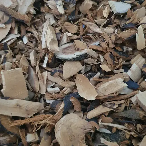 100 г терен/терн дика слива коріння сушене - свіжий урожай