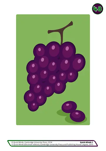 Quick Minds 3. Flashcards (for Ukraine, НУШ) - фото 5
