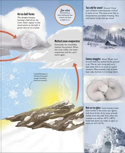 Water Cycles - фото 5