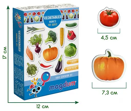 Набор магнитиков Magdum Овощи ML4031-12 EN в коробке (4820215152600) - фото 3