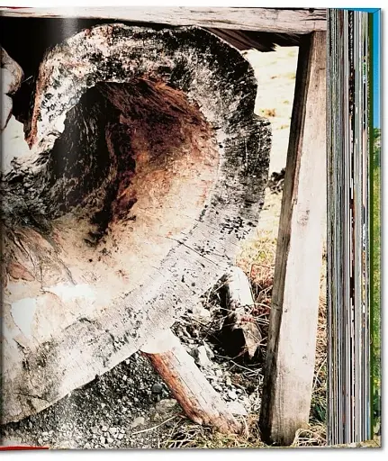 Ellen von Unwerth. Heimat - фото 7