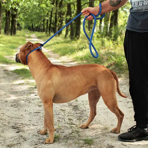 Поводок-удавка для собак Barksi Active (длина 183 см диаметр 12 мм) шахматы черно-голубой - фото 5