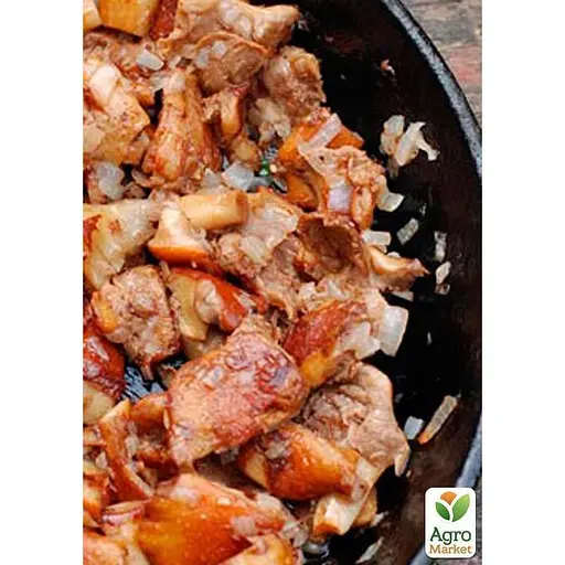 Міцелій на дубових брусочках "Енокітаке" 10шт (45306) - фото 2