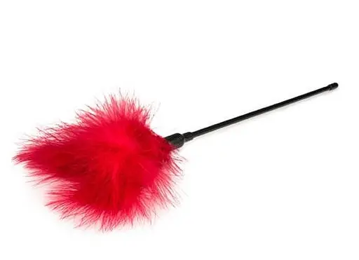 Тіклер-перо Grajmy razem (червоний) - фото 1