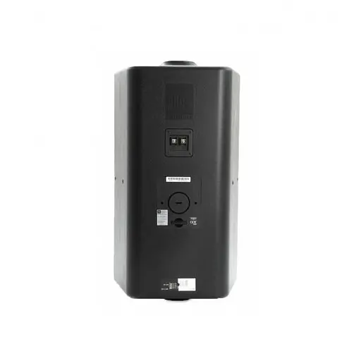 Трансляционная акустическая система JBL Control 29AV-1 BK - фото 4
