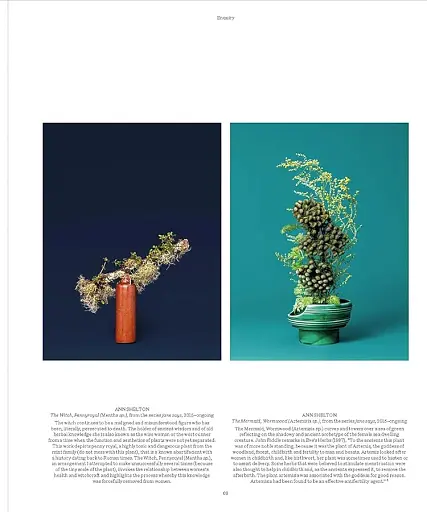 Flora Photographica - фото 8