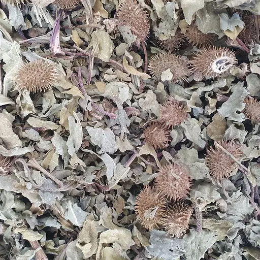 100 г нетреба трава+шишки сушені - свіжий урожай