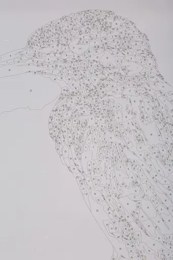 Набор для росписи по номерам "Гордая птица" 40*50 см, IDEA2-GX47493, ТМ "99IDEAS" - фото 7