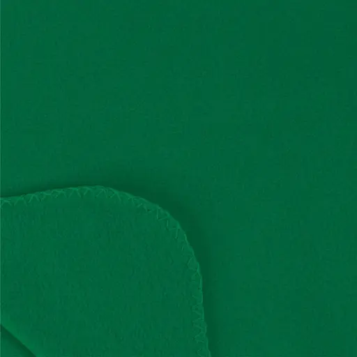 Плед Bergamo Warm флисовый с чехлом 180х150 см зеленый (202311pl-04) - фото 4