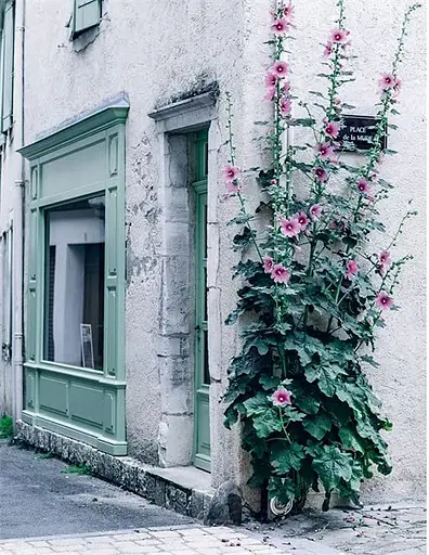 How to French Country. Colour and design inspiration from southwest France - фото 10