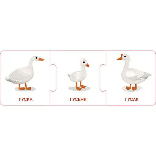 Логічні ланцюжки "Малюки тварини та їхні сім'ї" 1782001 українською мовою - фото 5