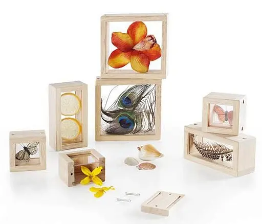 Набор Guidecraft Natural Play Сокровища в прозрачных ящиках G3084 - фото 4