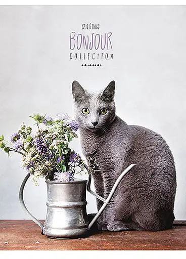 Комплект 4 шт загальних зошитів. Зошит Школярик А5 80 арк. у лінію 5069 4823088207798 - фото 4