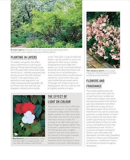 Grow Shade Garden. Essential Know-how and Expert Advice for Gardening Success - фото 10