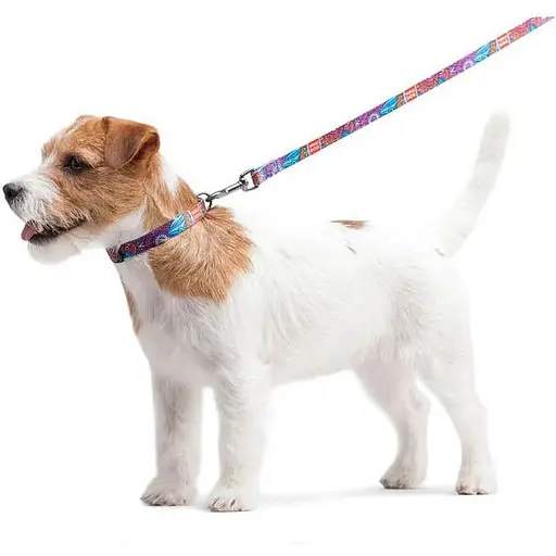 Повідець для собак Waudog Nylon нейлоновий, малюнок "Літо" - фото 4