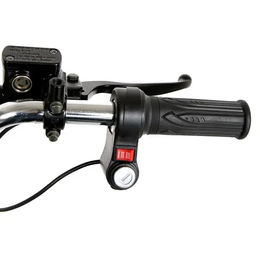 Трехколесный ситикоко EVOBIKE Grizzly X3 Pro с грузкой корзиной - фото 5