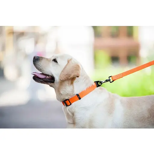 Повідець Waudog Еволютор (ширина 25 мм, довжина 210 см) помаранчевий - фото 7
