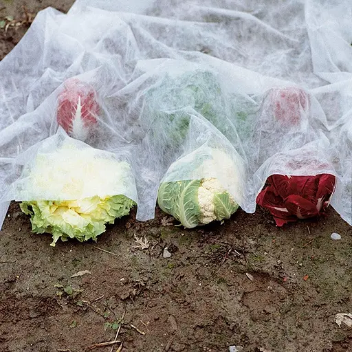 Захисний нетканий матеріал Verdemax 1.6 x 20 м (6560) - фото 3