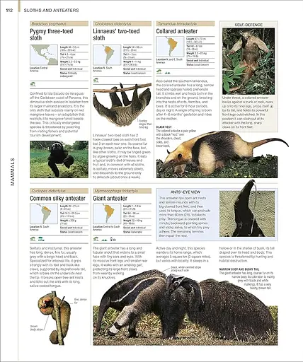 Animal. The Definitive Visual Guide - фото 2