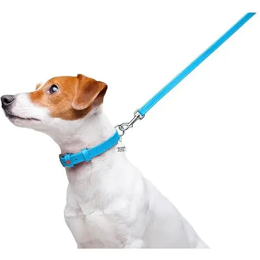 Повідець для собак Waudog Glamour шкіряний, блакитний - фото 5