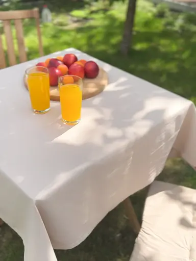 Водоотталкивающая cкатерть Бежевый однотон 380х140 см (+ 8 салфеток 30х40)