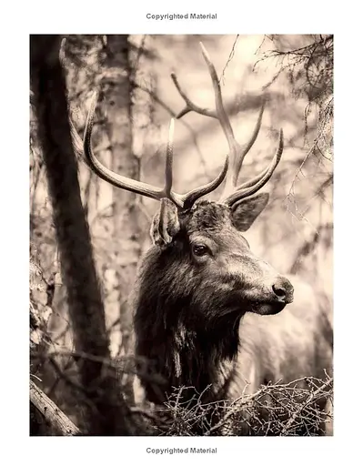 Hunting: The Ultimate Book - фото 2