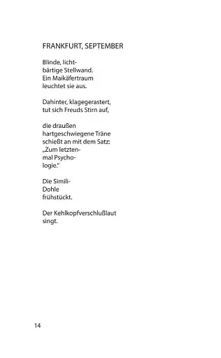 Волокнисті сонця - фото 12