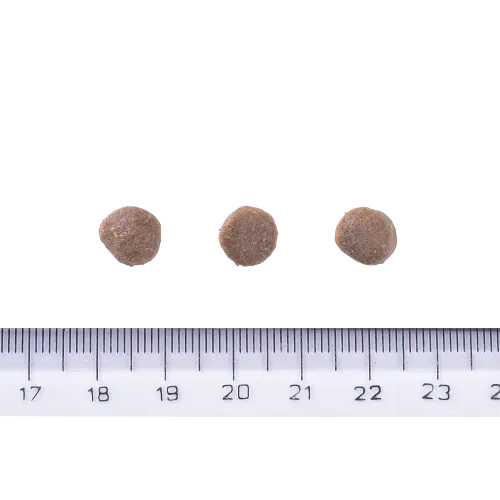 Сухой корм Brit Care Dog Grain-free Puppy для щенков, беззерновой с лососем, 1 кг - фото 4