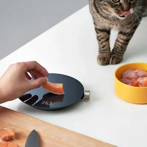 Розумні ваги Xiaomi HOTO Smart Kitchen Scale (QWCFC001) [58615] - фото 3