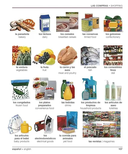 Spanish-English Visual Bilingual Dictionary with Free Audio APP - фото 6