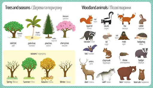 Книга Мій перший словничок. Природа. Автор - Голлі Беті (ARTBOOKS) (тв.) - фото 3