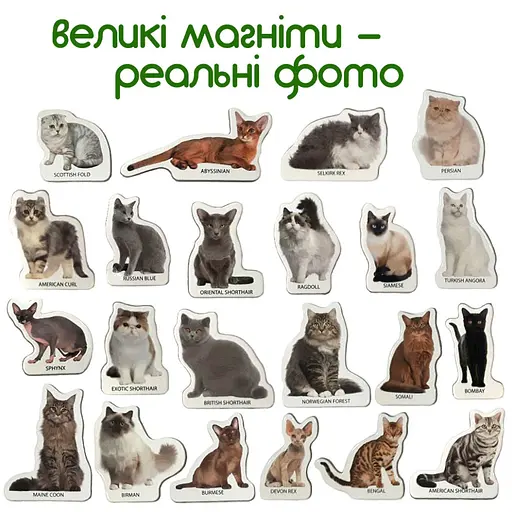 Набор магнитов Magdum "Породы кошек" ML4031-13 EN - фото 2
