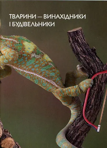 Енциклопедія для допитливих А5 : Тварини - винахідники і будівельники (Українська, 01 КРЕЙДОВАНИЙ ) - фото 4