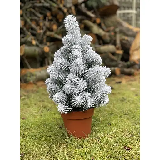 Елка Hvoya Premium литая в горшке 50 см заснеженная - фото 3