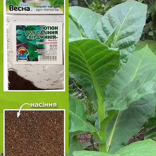 Семена Табак для курения "Вирджиния" (Зипер) ТМ "Весна" 0.5г (22361) - фото 1