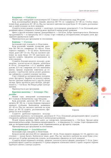 Айстри. Біологічні особливості. Вирощування. Використання. Сорти - фото 4