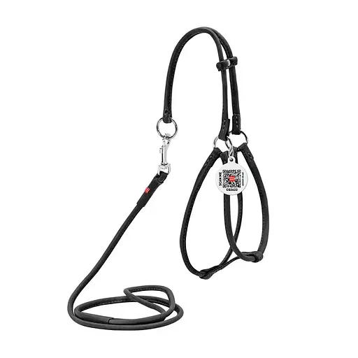 Шлея з повідцем для собак Waudog Soft з QR паспортом шкіряна кругла Д 6 мм, А 42-60 см, В 46-64 см чорна - фото 1