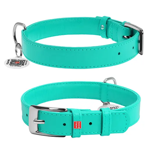 Нашийник для собак шкіряний Waudog Glamour з QR-паспортом без прикрас M Ш 20 мм Д 30-39 см ментоловий