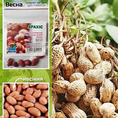 Арахіс (Зипер) ТМ "Весна" 6шт (51639) - фото 1